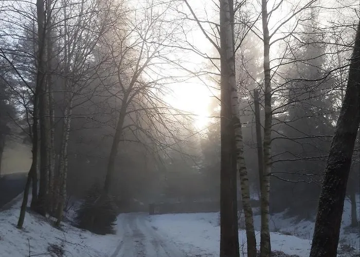 Dw Lesnik Карпач